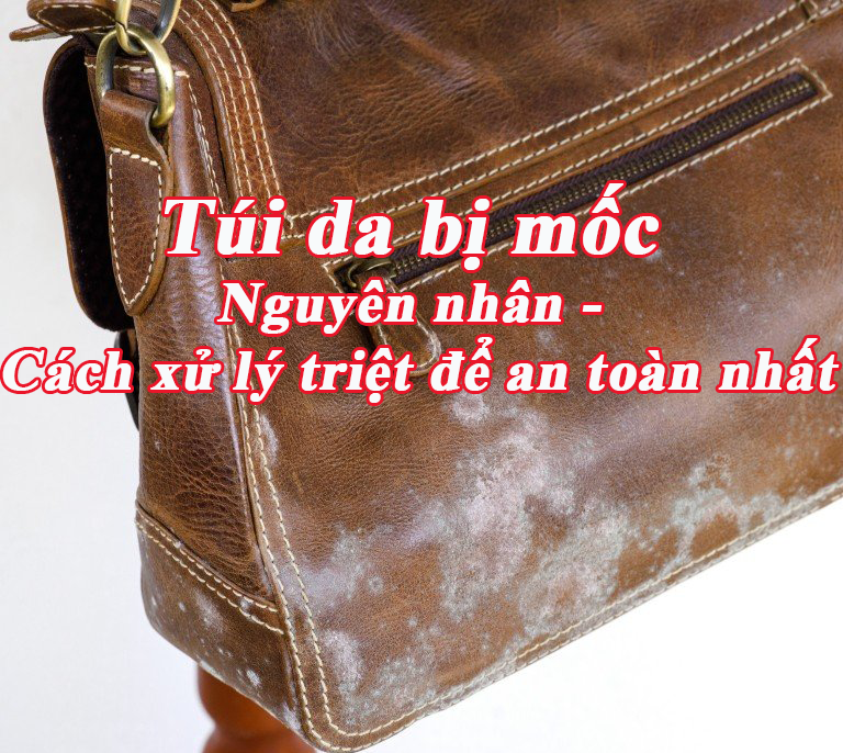 Huong dan kiem soat do am cho tui xach nam khong bi moc